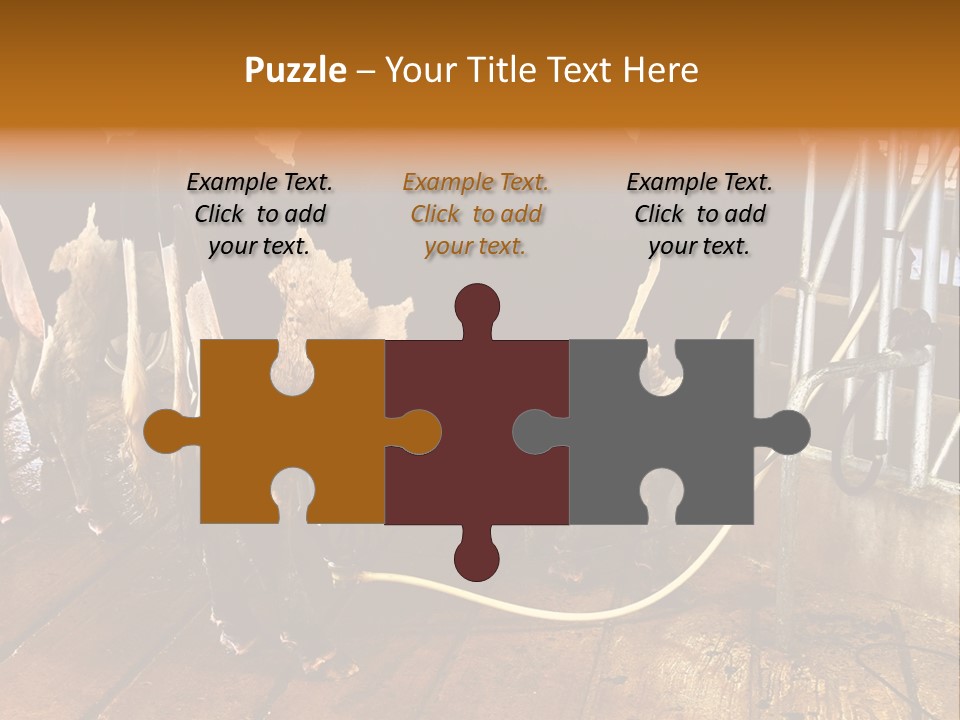 A Group Of Cows Standing Next To Each Other On A Wooden Floor PowerPoint Template