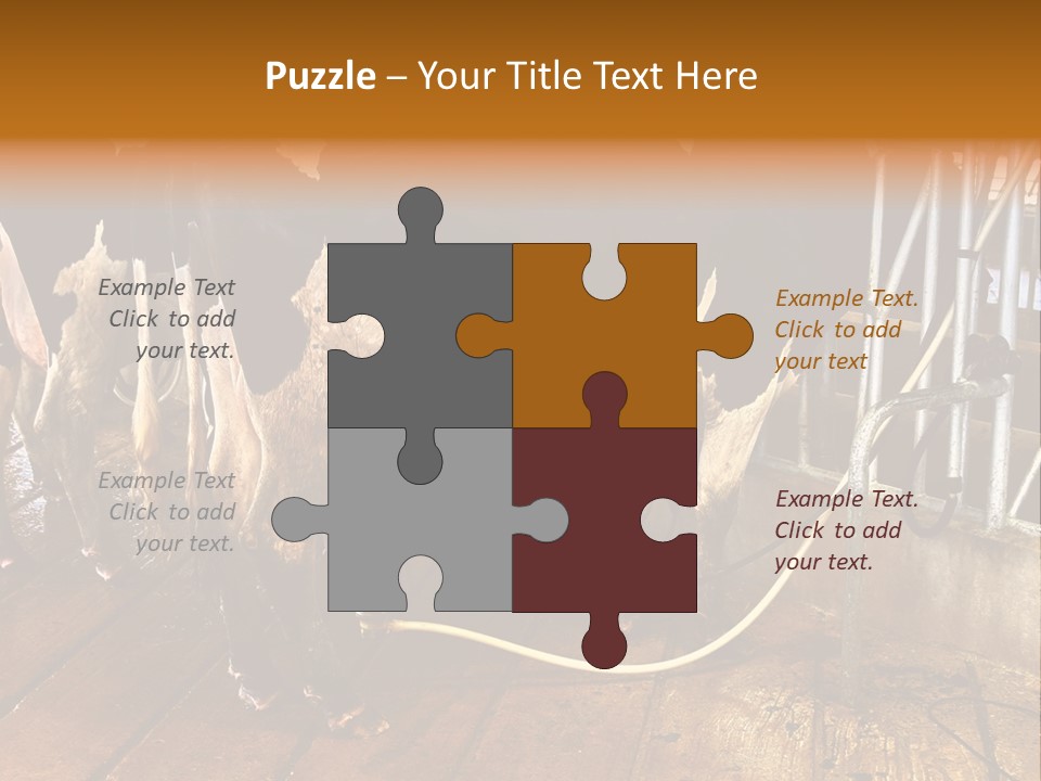 A Group Of Cows Standing Next To Each Other On A Wooden Floor PowerPoint Template