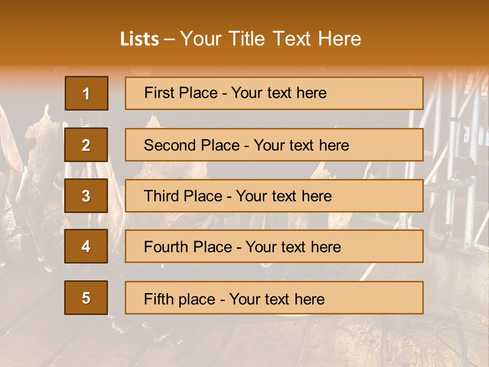 A Group Of Cows Standing Next To Each Other On A Wooden Floor PowerPoint Template