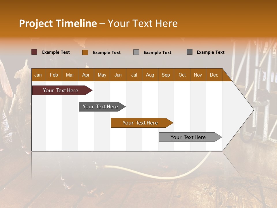 A Group Of Cows Standing Next To Each Other On A Wooden Floor PowerPoint Template