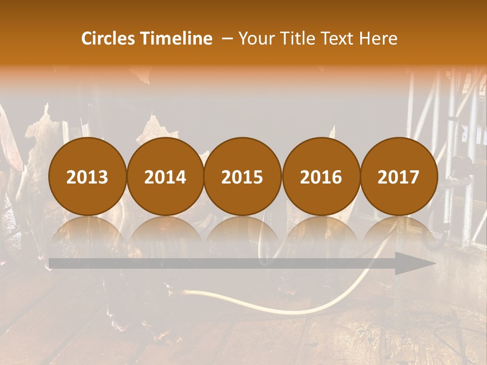 A Group Of Cows Standing Next To Each Other On A Wooden Floor PowerPoint Template