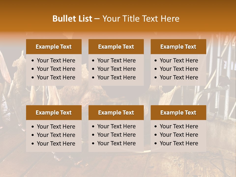 A Group Of Cows Standing Next To Each Other On A Wooden Floor PowerPoint Template
