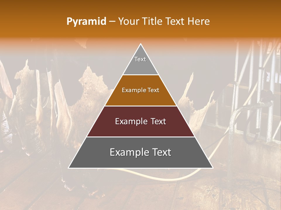 A Group Of Cows Standing Next To Each Other On A Wooden Floor PowerPoint Template