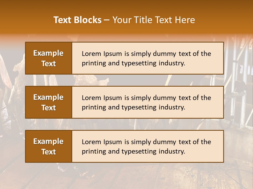 A Group Of Cows Standing Next To Each Other On A Wooden Floor PowerPoint Template