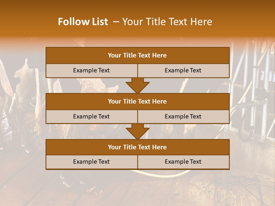 A Group Of Cows Standing Next To Each Other On A Wooden Floor PowerPoint Template