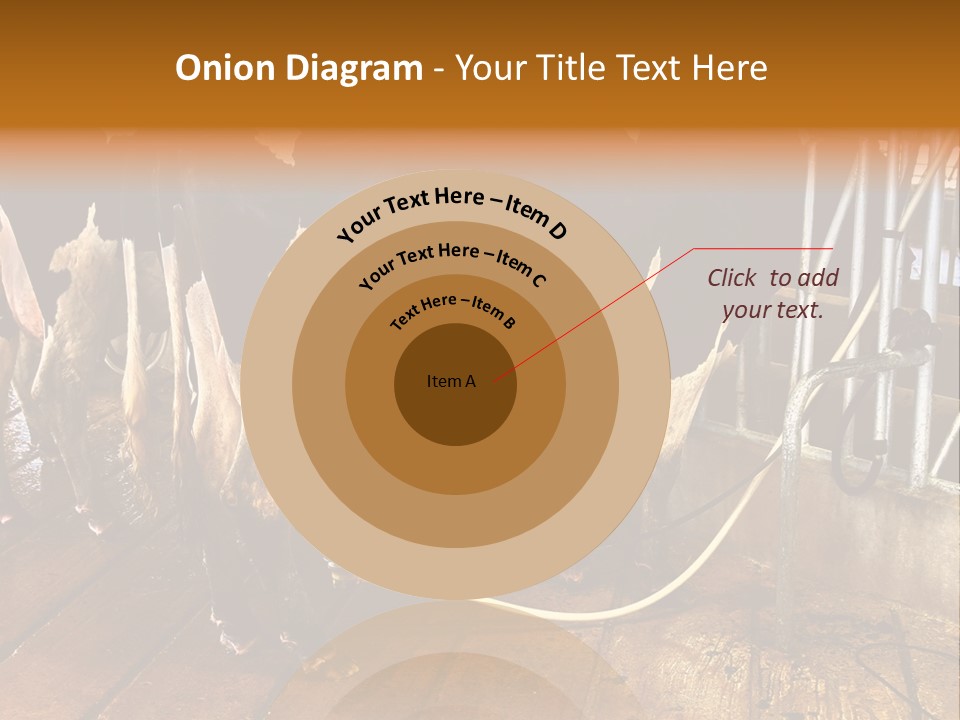 A Group Of Cows Standing Next To Each Other On A Wooden Floor PowerPoint Template