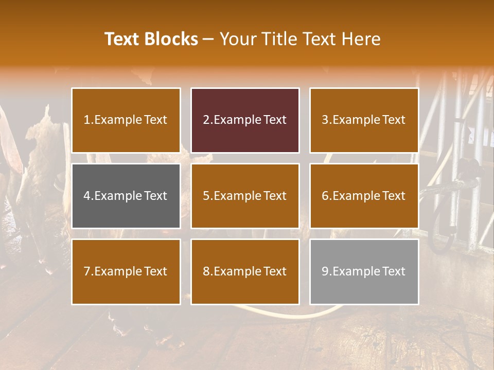 A Group Of Cows Standing Next To Each Other On A Wooden Floor PowerPoint Template