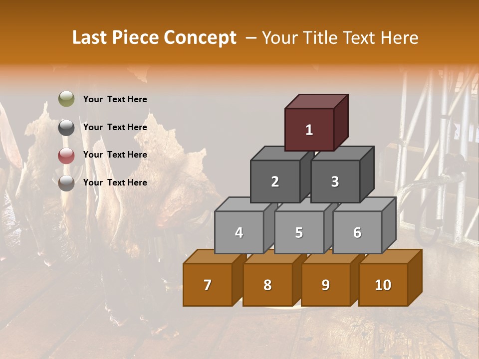 A Group Of Cows Standing Next To Each Other On A Wooden Floor PowerPoint Template