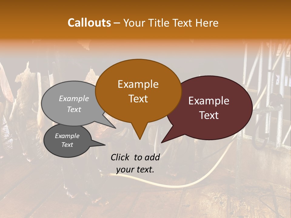 A Group Of Cows Standing Next To Each Other On A Wooden Floor PowerPoint Template