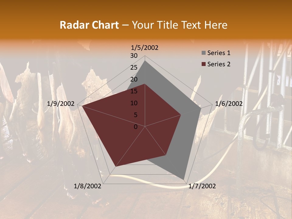 A Group Of Cows Standing Next To Each Other On A Wooden Floor PowerPoint Template