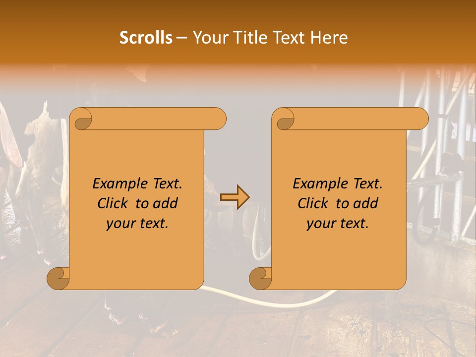 A Group Of Cows Standing Next To Each Other On A Wooden Floor PowerPoint Template