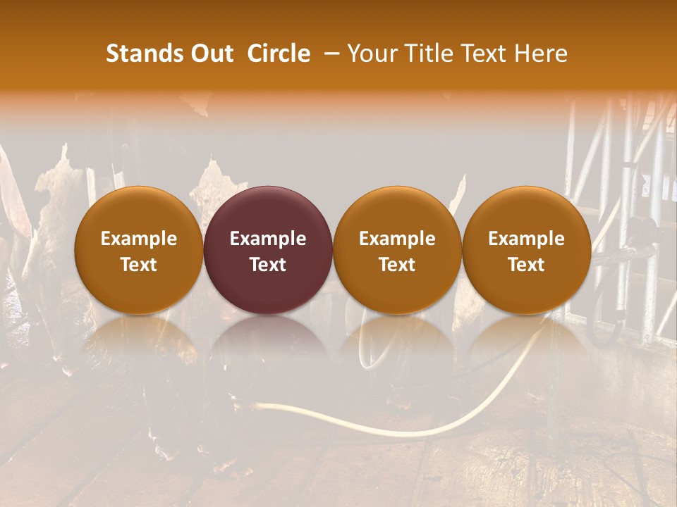 A Group Of Cows Standing Next To Each Other On A Wooden Floor PowerPoint Template