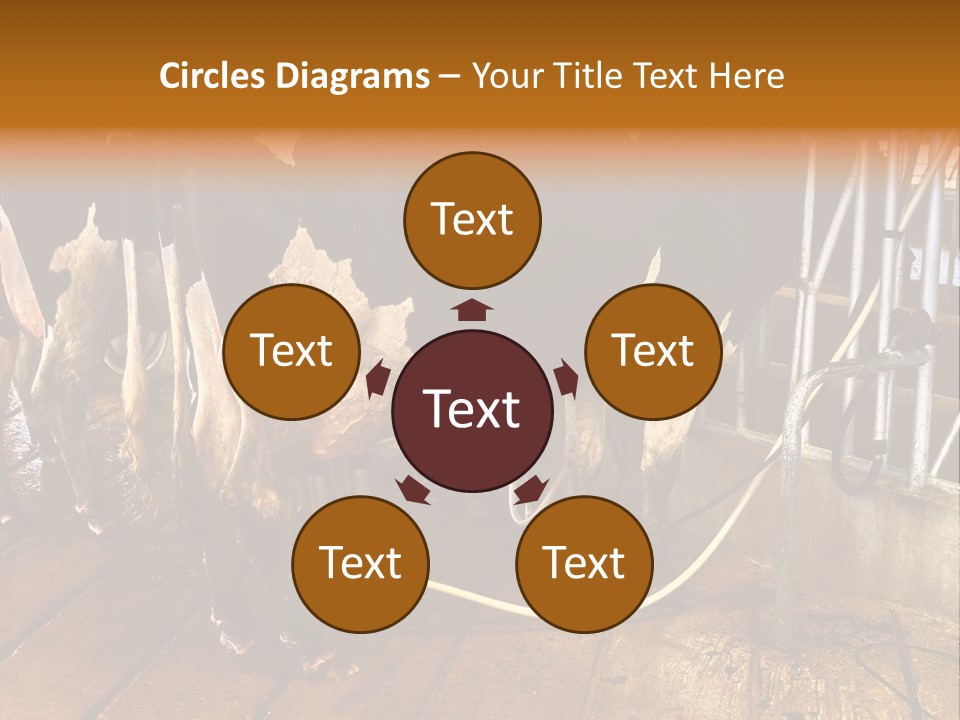 A Group Of Cows Standing Next To Each Other On A Wooden Floor PowerPoint Template