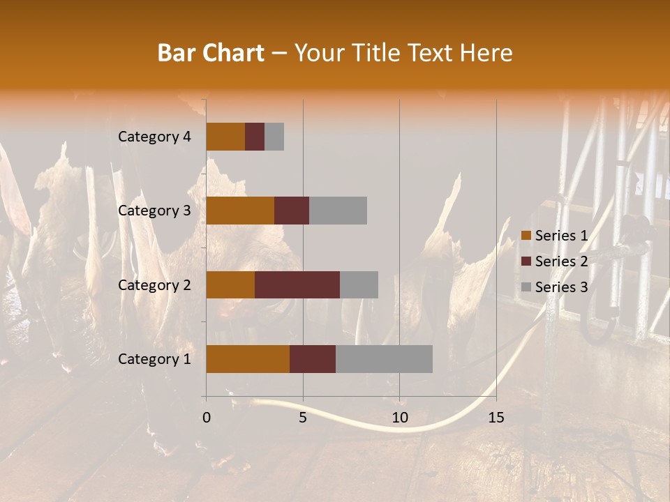 A Group Of Cows Standing Next To Each Other On A Wooden Floor PowerPoint Template