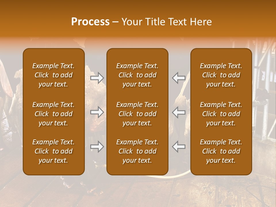 A Group Of Cows Standing Next To Each Other On A Wooden Floor PowerPoint Template
