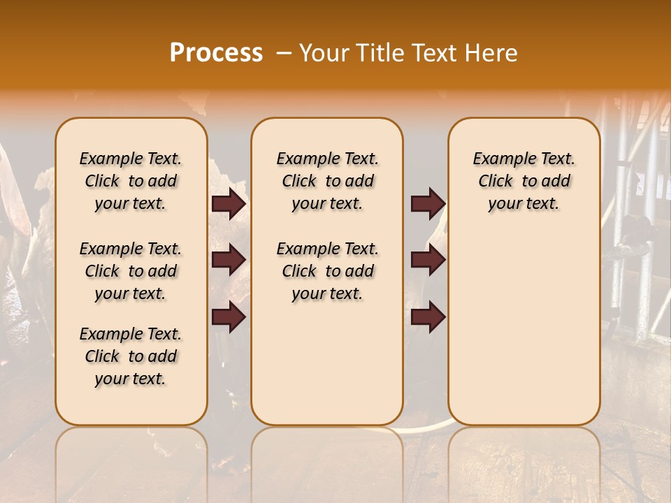 A Group Of Cows Standing Next To Each Other On A Wooden Floor PowerPoint Template