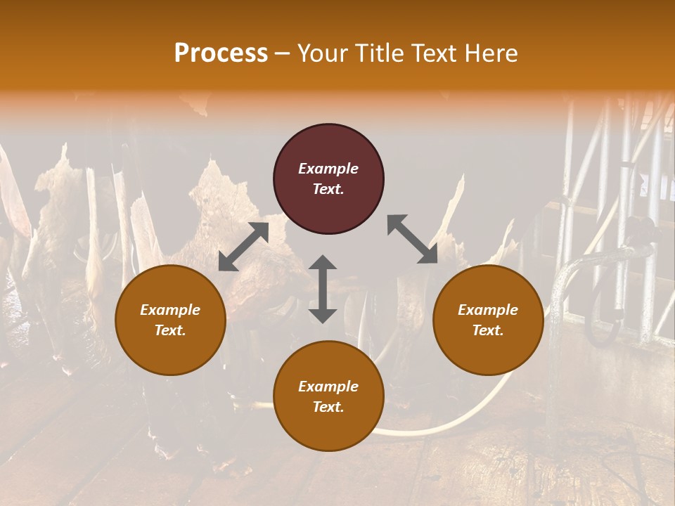 A Group Of Cows Standing Next To Each Other On A Wooden Floor PowerPoint Template
