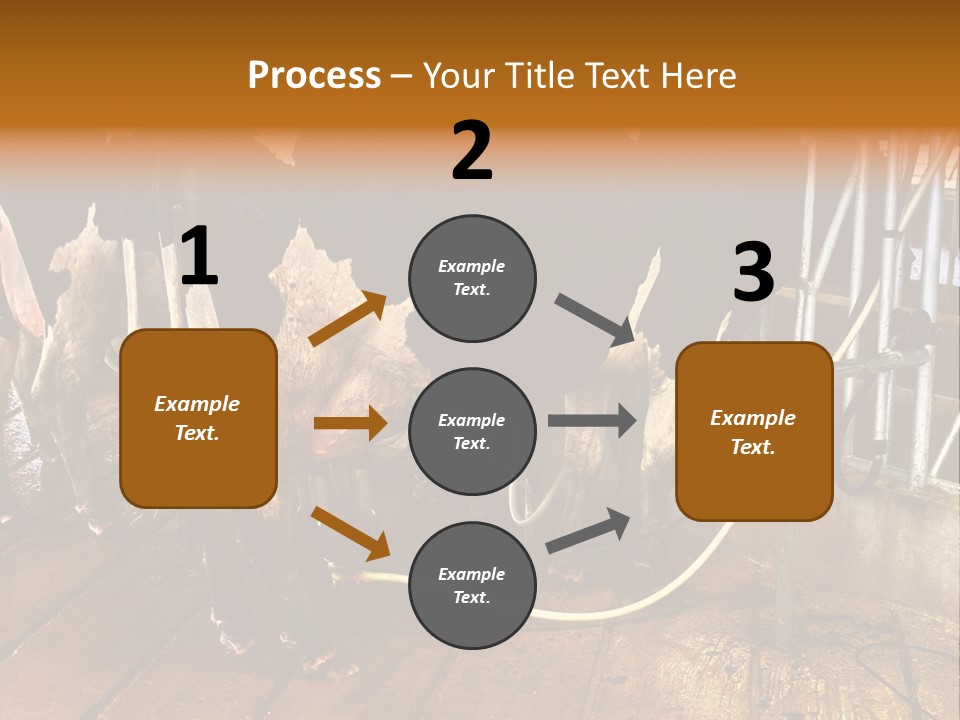 A Group Of Cows Standing Next To Each Other On A Wooden Floor PowerPoint Template