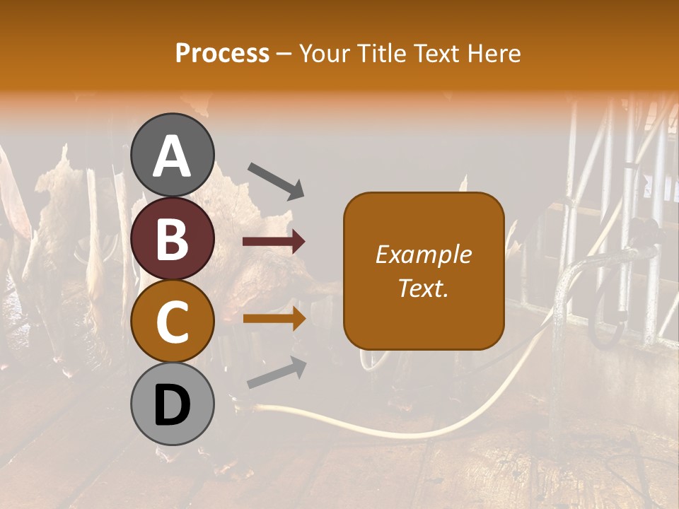 A Group Of Cows Standing Next To Each Other On A Wooden Floor PowerPoint Template