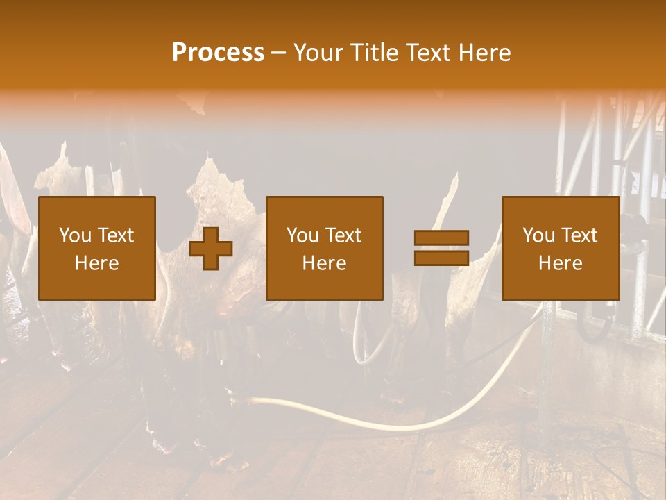 A Group Of Cows Standing Next To Each Other On A Wooden Floor PowerPoint Template
