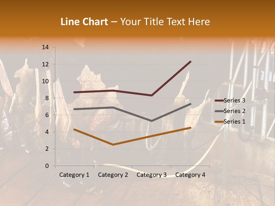 A Group Of Cows Standing Next To Each Other On A Wooden Floor PowerPoint Template