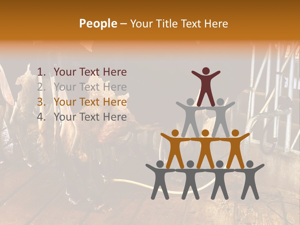 A Group Of Cows Standing Next To Each Other On A Wooden Floor PowerPoint Template