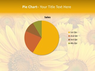 Beautiful Yellow Sunflower Petals Closeup PowerPoint Template