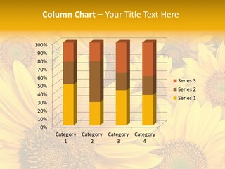 Beautiful Yellow Sunflower Petals Closeup PowerPoint Template