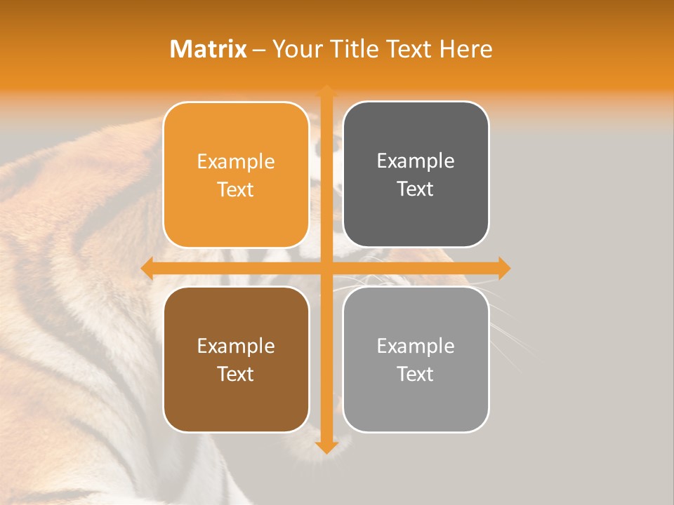 Mysterious Woman Eyes PowerPoint Template