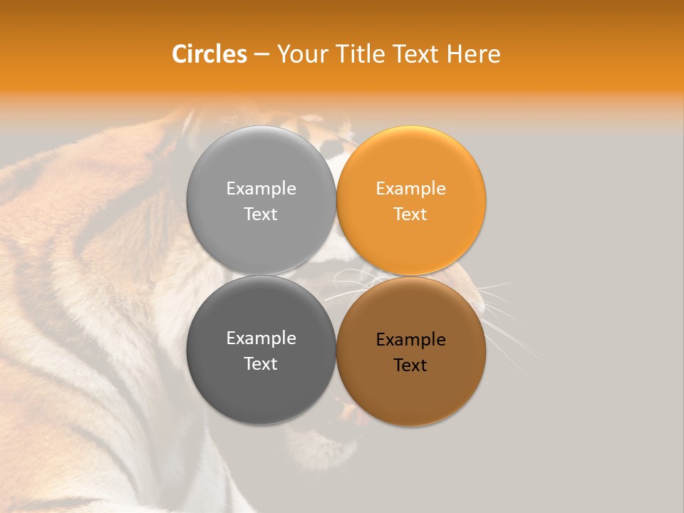 Mysterious Woman Eyes PowerPoint Template