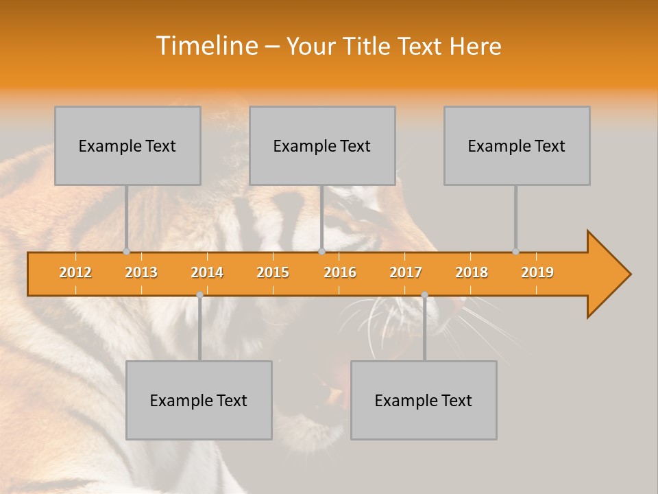 Mysterious Woman Eyes PowerPoint Template