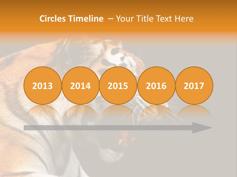 Mysterious Woman Eyes PowerPoint Template