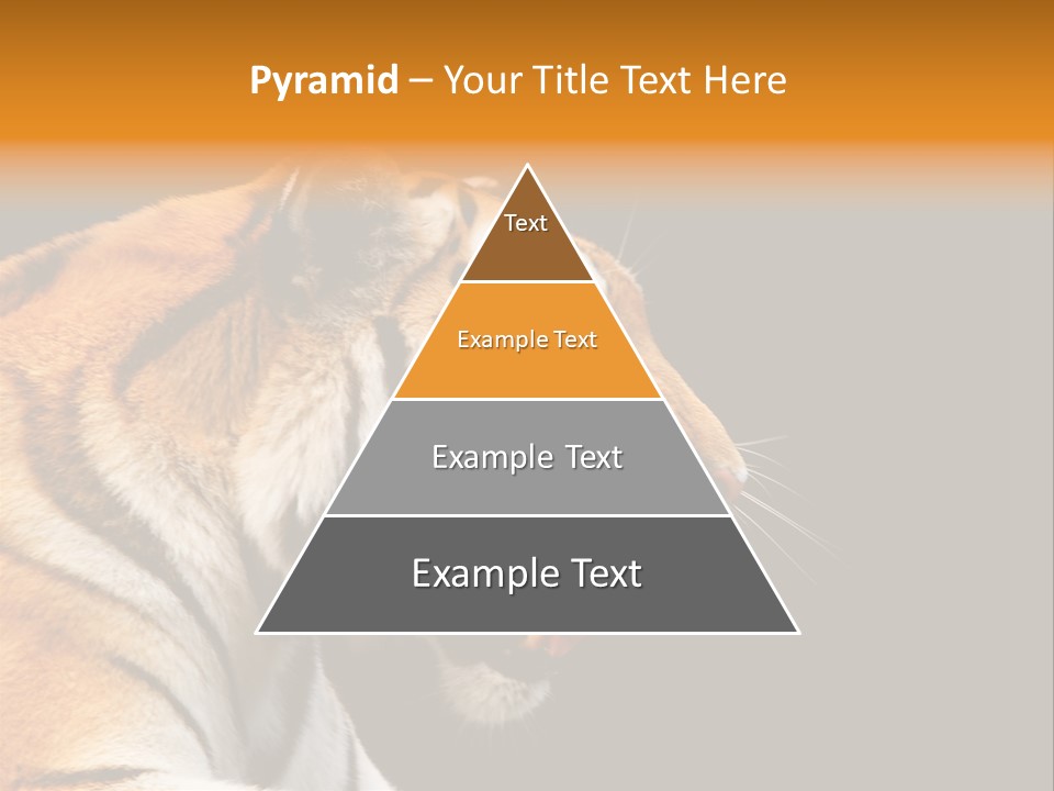 Mysterious Woman Eyes PowerPoint Template