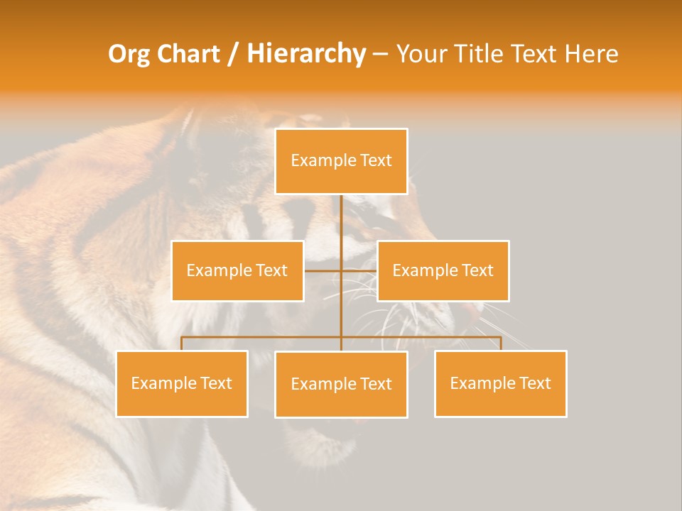 Mysterious Woman Eyes PowerPoint Template