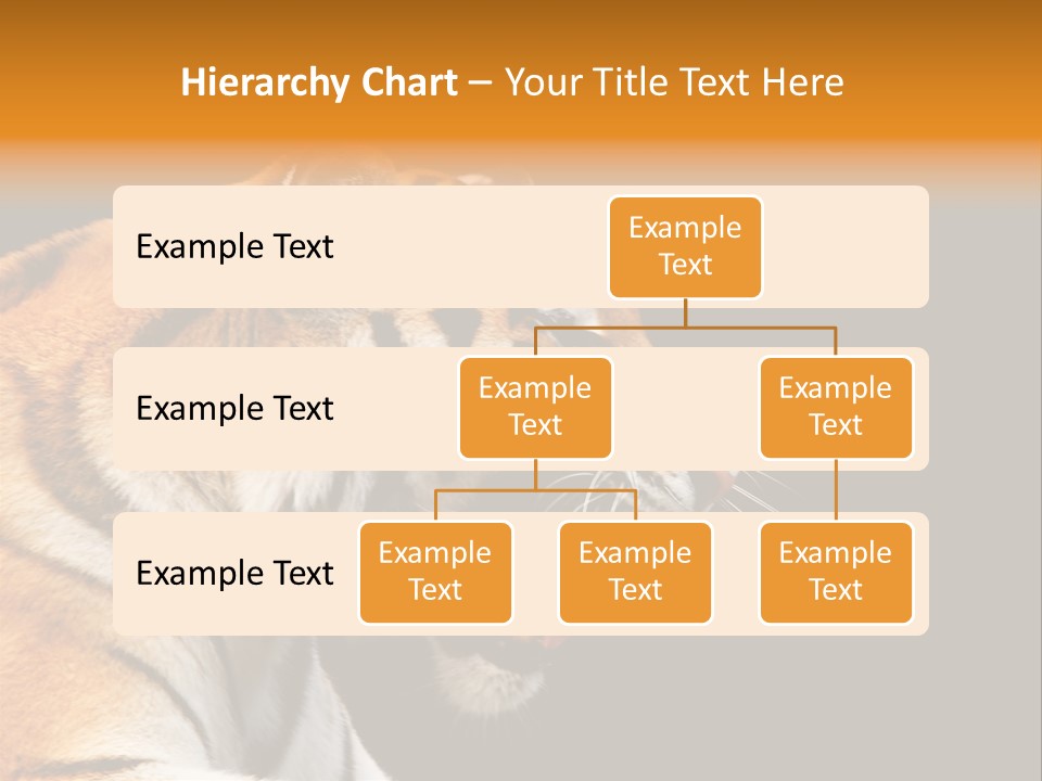 Mysterious Woman Eyes PowerPoint Template