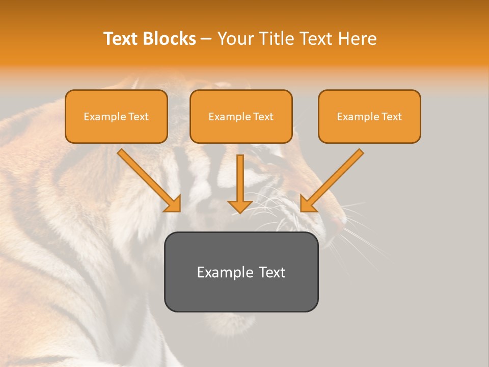 Mysterious Woman Eyes PowerPoint Template