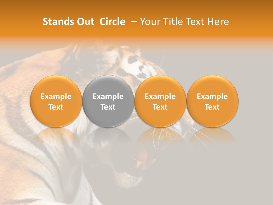 Mysterious Woman Eyes PowerPoint Template