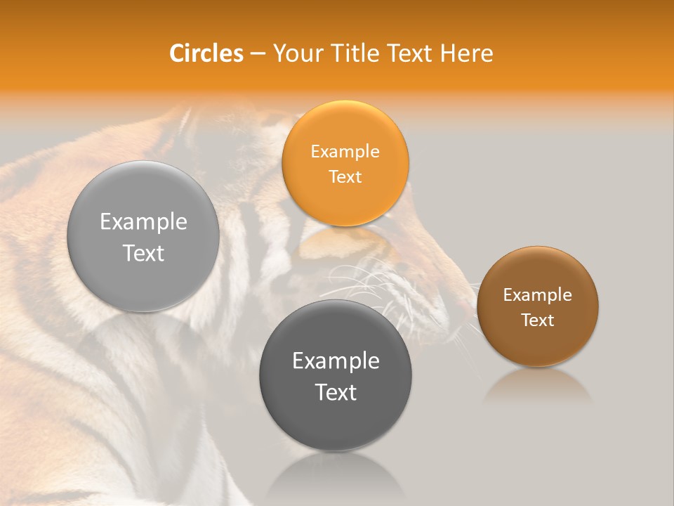 Mysterious Woman Eyes PowerPoint Template