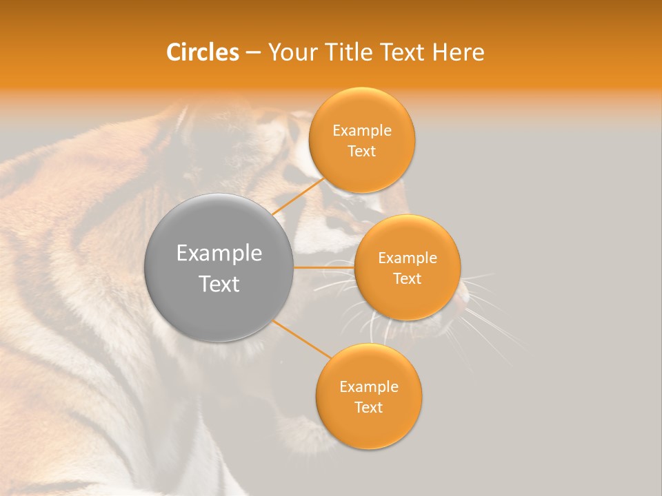 Mysterious Woman Eyes PowerPoint Template