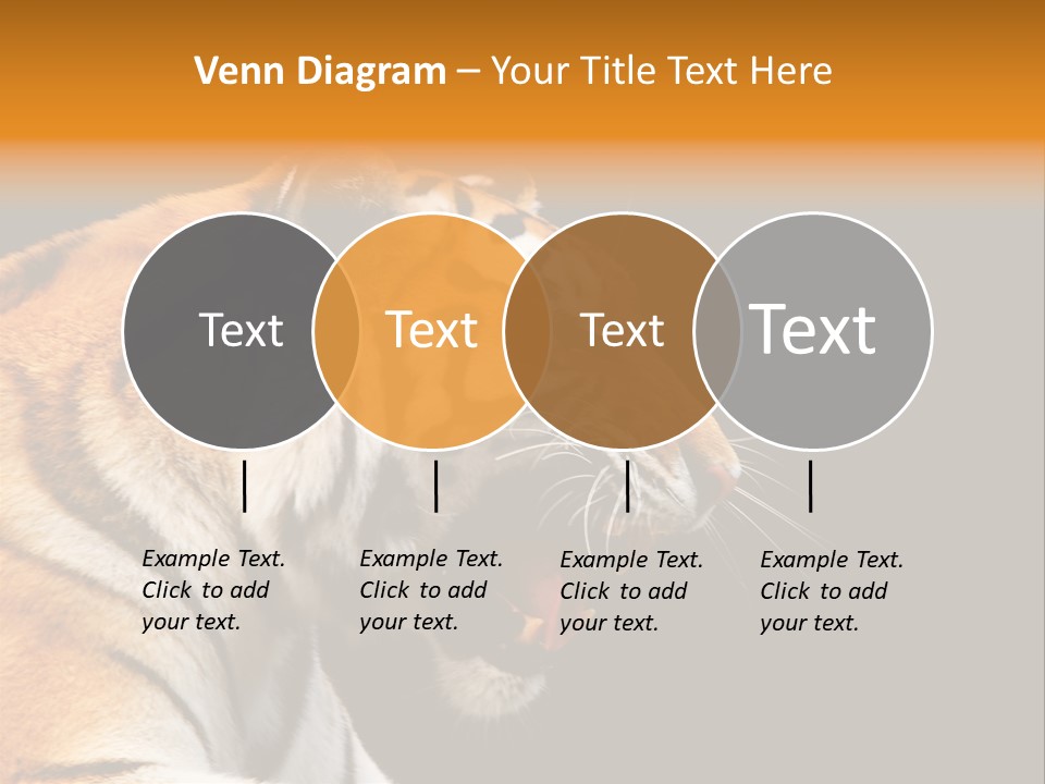 Mysterious Woman Eyes PowerPoint Template