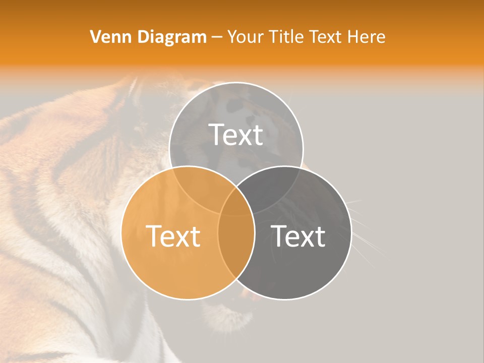 Mysterious Woman Eyes PowerPoint Template