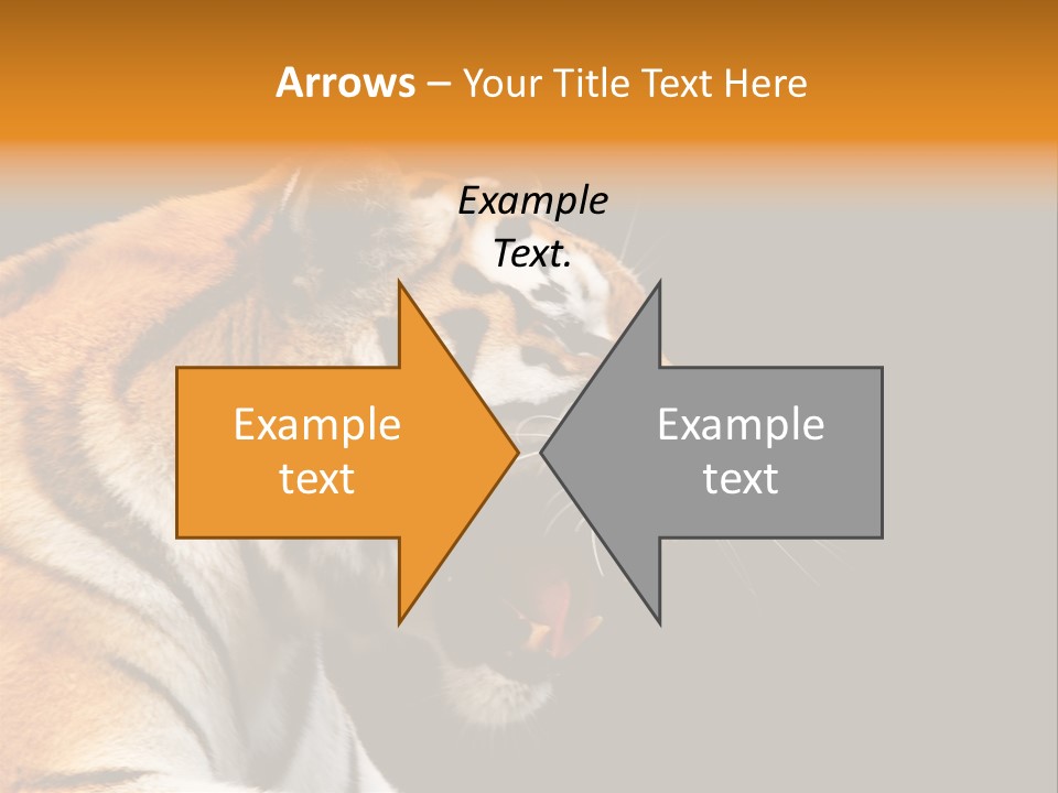 Mysterious Woman Eyes PowerPoint Template