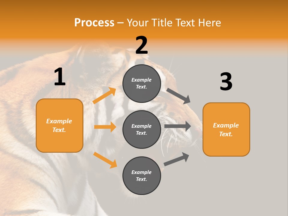 Mysterious Woman Eyes PowerPoint Template