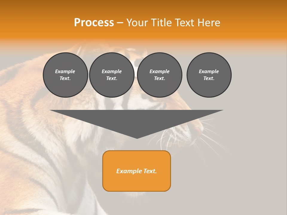 Mysterious Woman Eyes PowerPoint Template