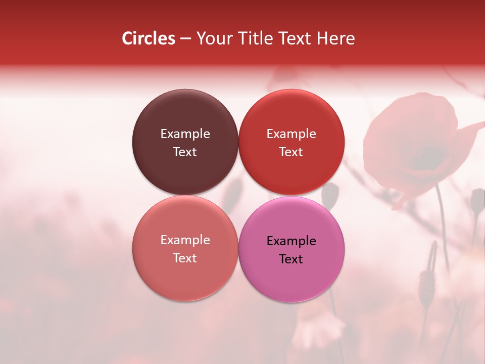 Poppy Field PowerPoint Template