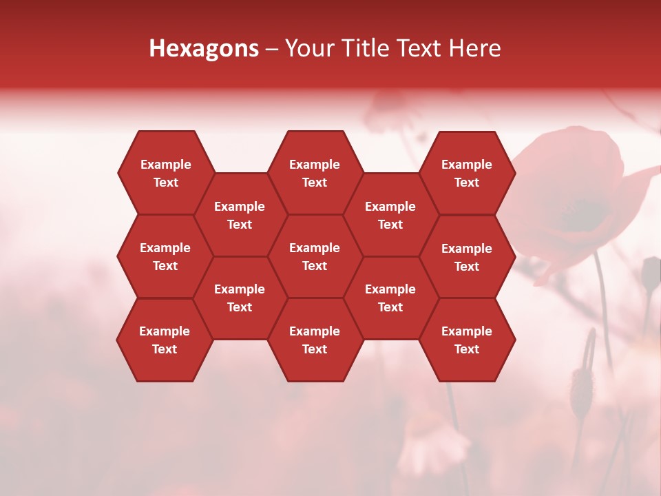 Poppy Field PowerPoint Template