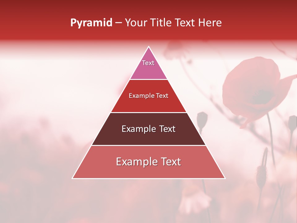Poppy Field PowerPoint Template