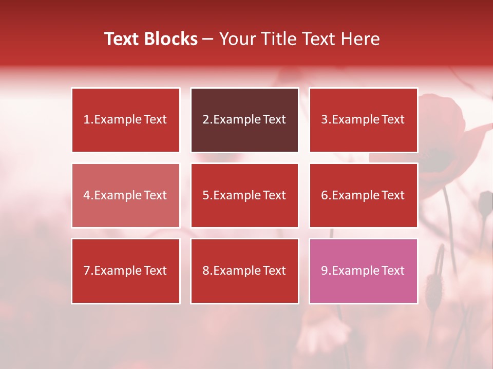 Poppy Field PowerPoint Template