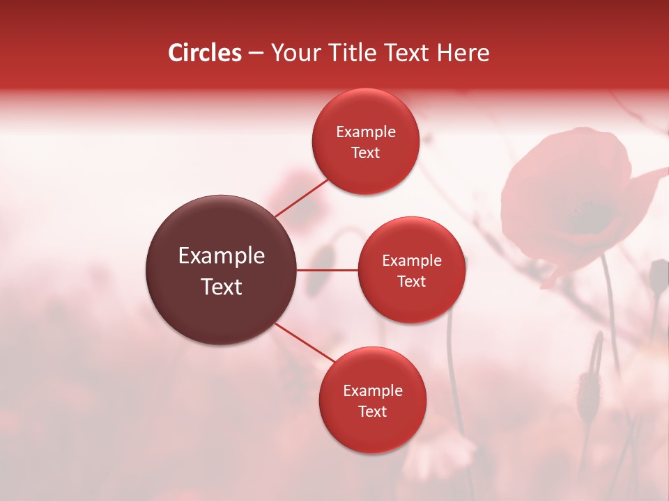 Poppy Field PowerPoint Template