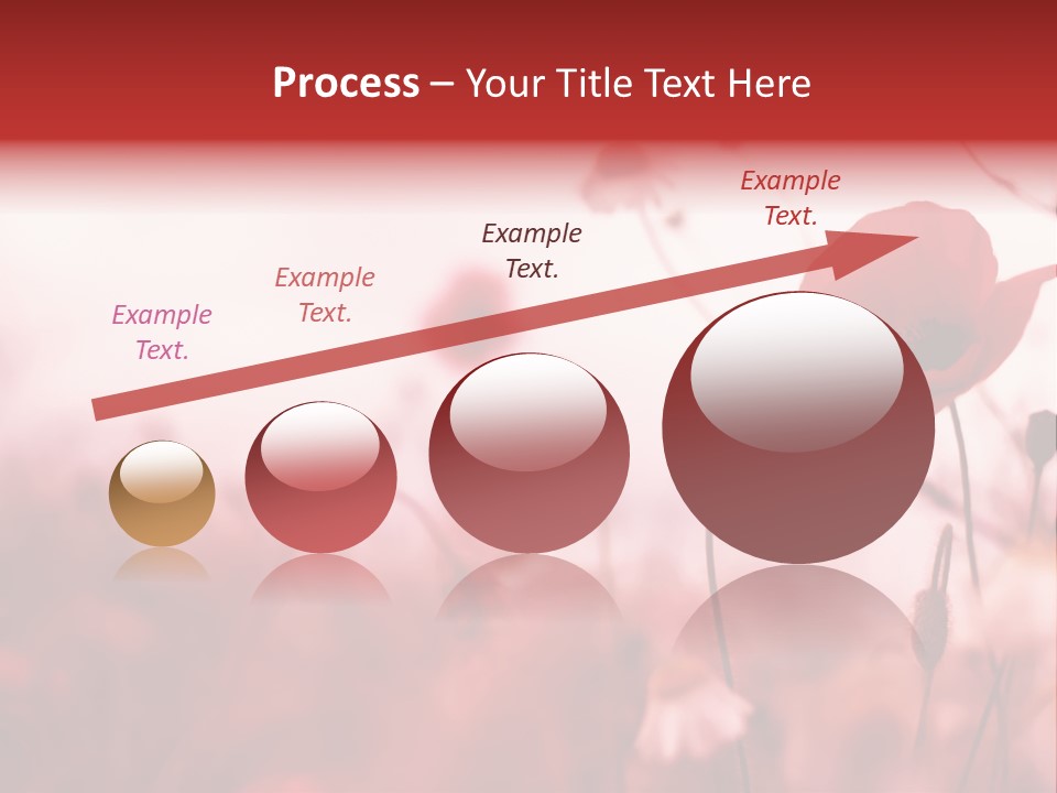 Poppy Field PowerPoint Template